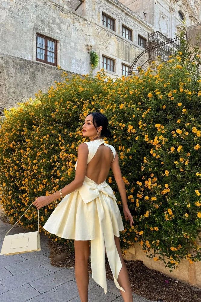 Sleeveless High-Waist Mini Dress Homecoming Dress Short Party Dress