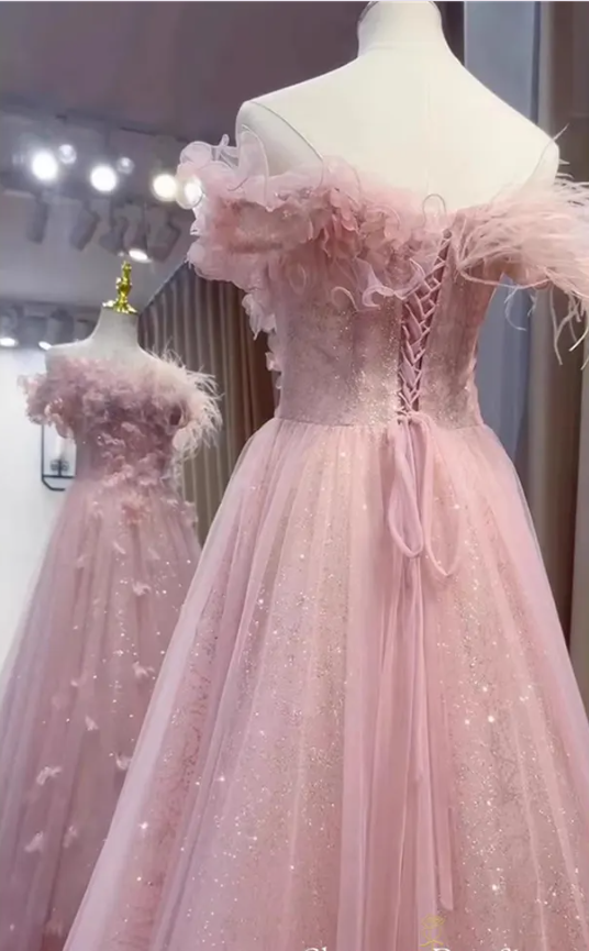 Pink Fairy Feathers Sequins Appliques Evening Dress A Line Formal Ball Gown
