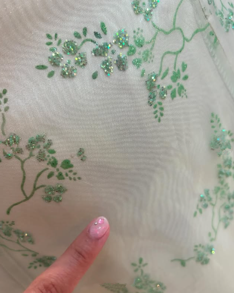 Pretty Light Green Tulle Sequins Party Dress A Line Evening Gown