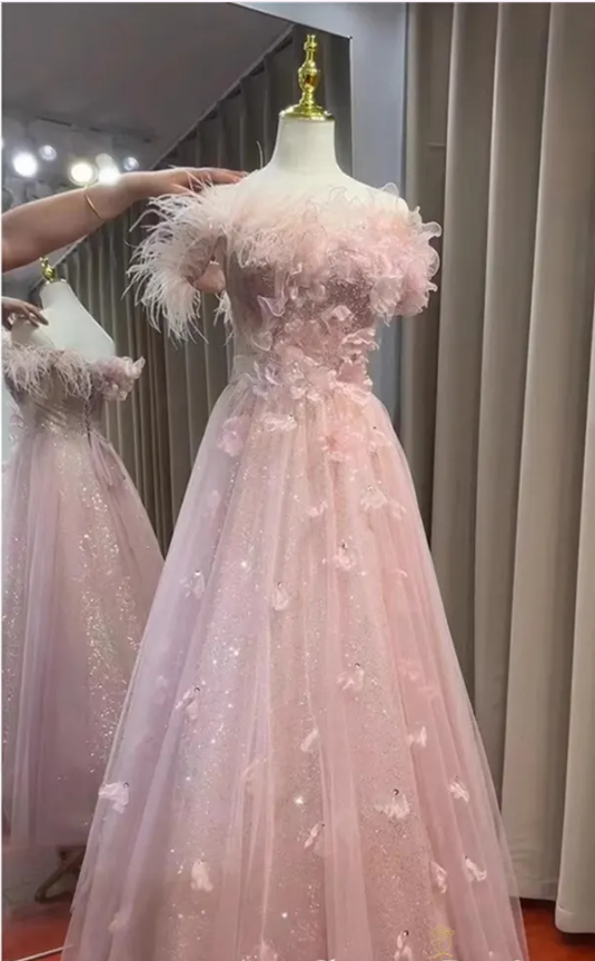 Pink Fairy Feathers Sequins Appliques Evening Dress A Line Formal Ball Gown