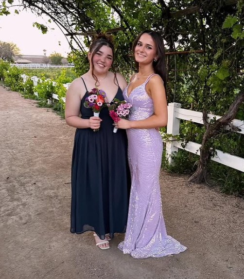 Luxury Lilac Spaghetti Straps Vneck Backless Evening Dress Mermaid Party Prom Dress