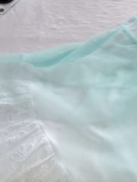Elegant Spaghetti Straps Lace A Line Short Vacation Dress Short Birthday Dress