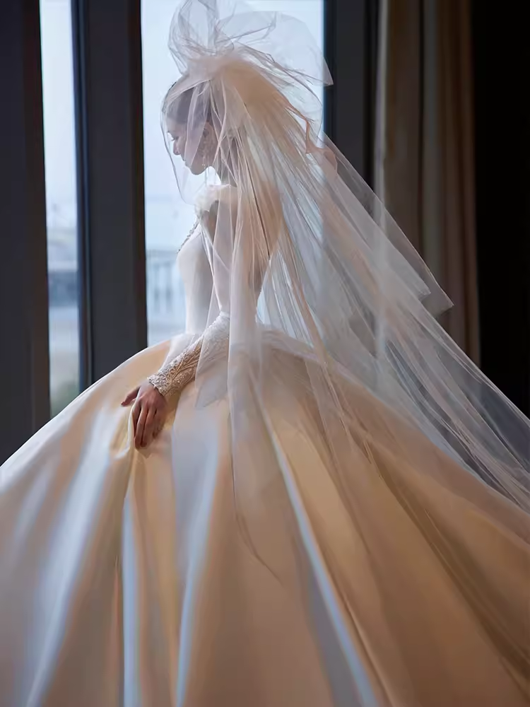 Princess Ball Gown V neckline Long Sleeves Lace Wedding Dresses