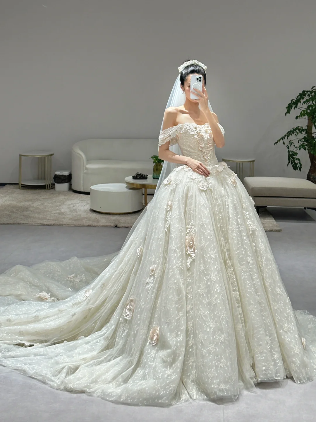 Dreamy Ball Gown Off The Shoulder Tulle Lace Applique With Veil Long Wedding Dresses