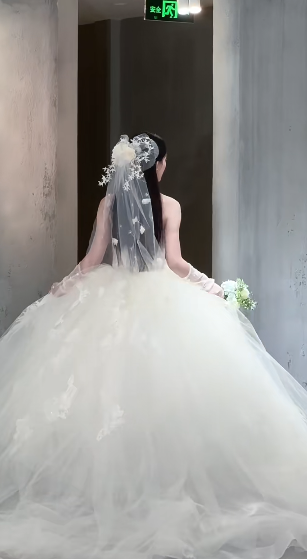 Dreamy Ball Gown Strapless Tulle Applique With Veil Long Wedding Dresses