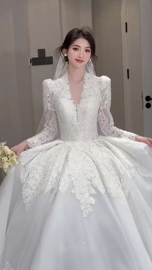 Timeless Ball Gown V Neck Tulle Lace Long Sleeves With Train Long Wedding Dresses