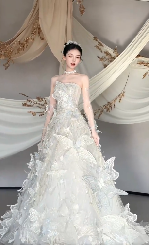 Gorgeous Ball Gown Starpless Tulle Butterfly Long Wedding Dresses
