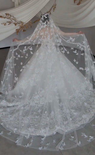 Dreamy White Ball Gown Starpless Tulle Lace With Veil Long Wedding Dresses