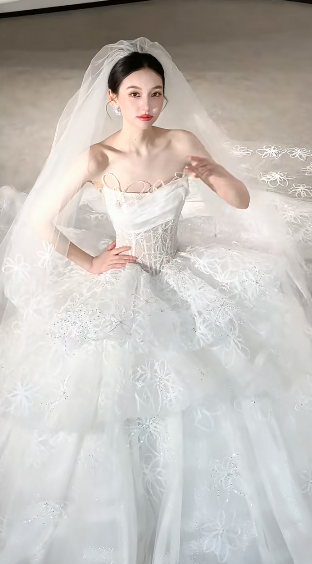 Dreamy White Ball Gown Starpless Tulle Lace With Veil Long Wedding Dresses