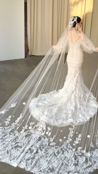 Dreamy Mermaid White Tulle Lace Long Sleeves With Veil Long Wedding Dresses