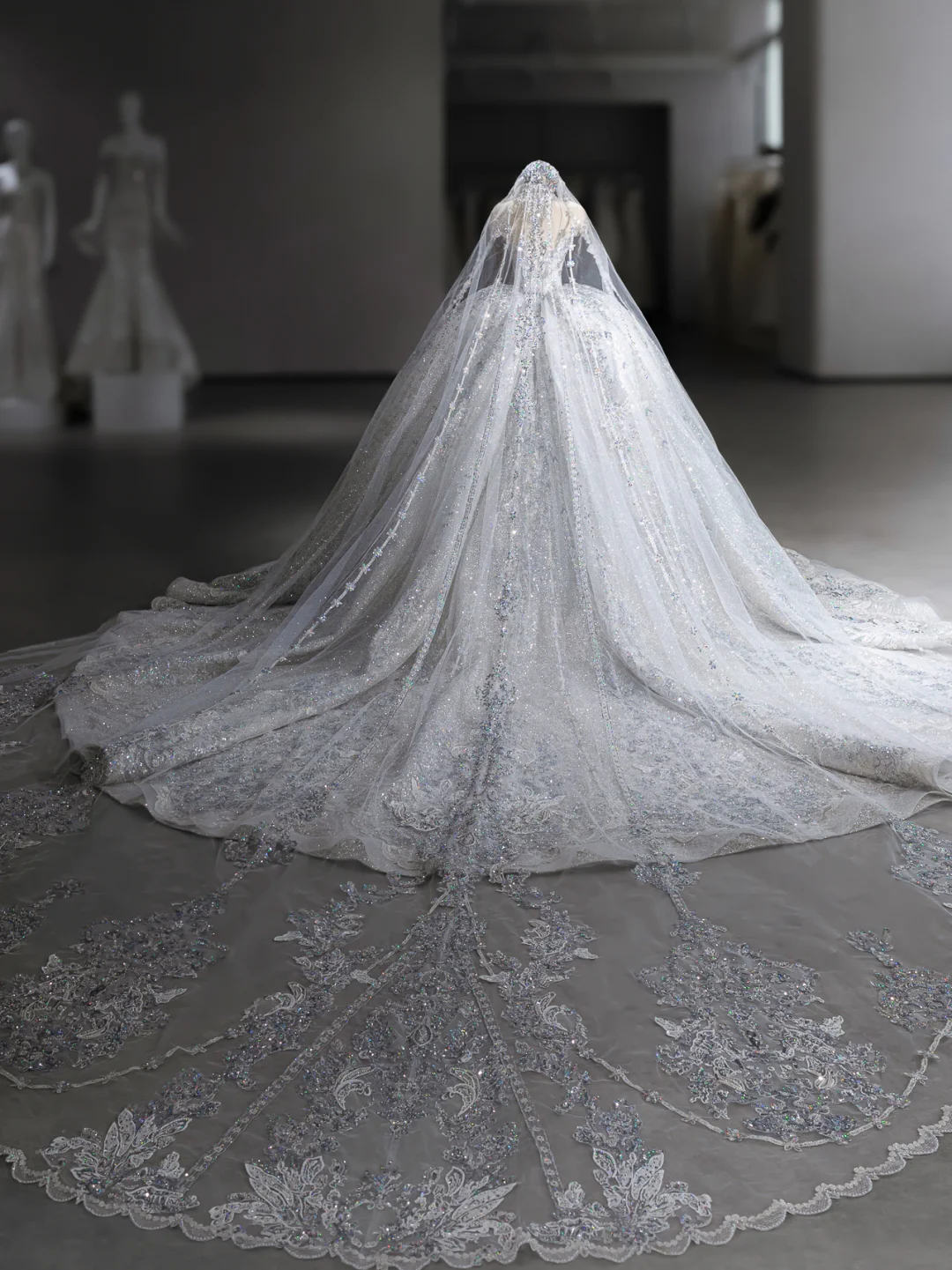 Timeless Ball Gown Tulle Sequin With Veil Long Wedding Dresses