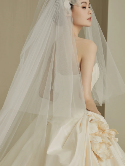 Dreamy Ball Gown Strapless Satin With Veil Long Wedding Dresses