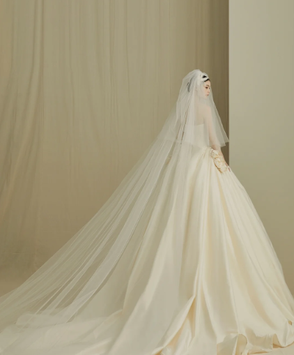 Dreamy Ball Gown Strapless Satin With Veil Long Wedding Dresses