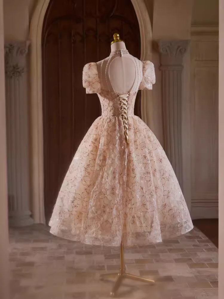 Elegant Ball Gown High Neckline Pink Tulle Party Dress Lace Homecoming Dresses