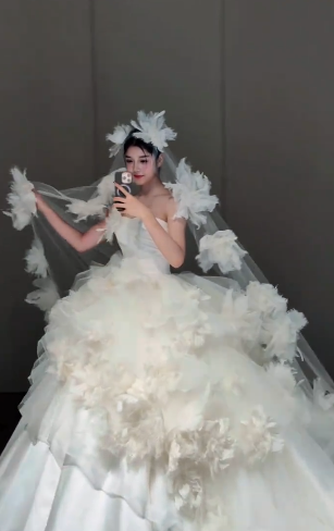 Timeless Ball Gown Strapless Satin Tulle Applique With Veil Long Wedding Dresses