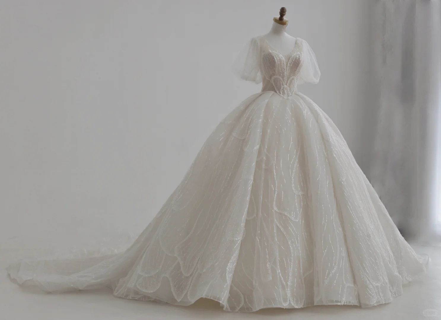 Classy Ball Gown V Neck Tulle Sequin Short Sleeves Long Wedding Dresses