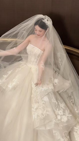Dreamy Ball Gown Strapless White Tulle Lace With Gloves Veil Long Wedding Dresses