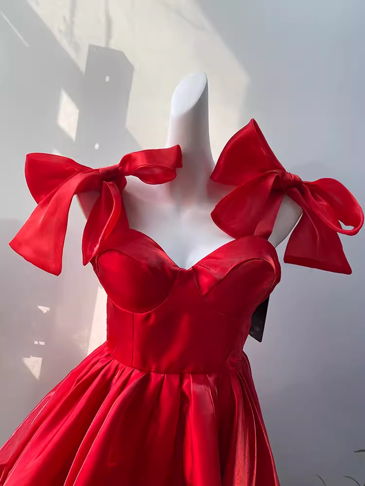 Simple A Line Spaghetti Straps Short Birthday Dress Red Homecoming Dresses