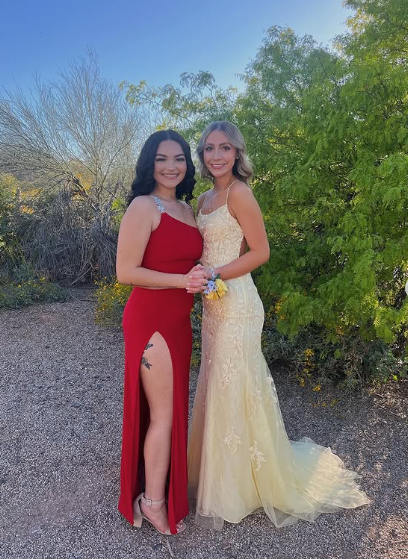 Sexy Yellow Lace/Tulle Long Prom Dresses,Evening Dresses,Winter Formal Dresses
