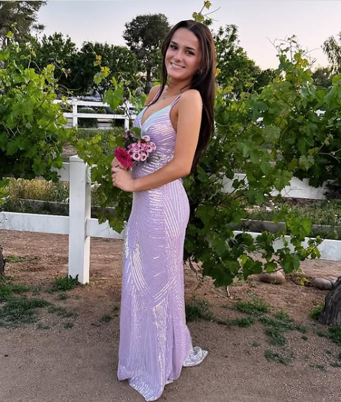 Luxury Lilac Spaghetti Straps Vneck Backless Evening Dress Mermaid Party Prom Dress