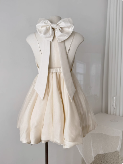 Princess Bowknot Halter Neck Sling Waist Net Tulle Puffy Birthday Party Dress Homecoming Dress
