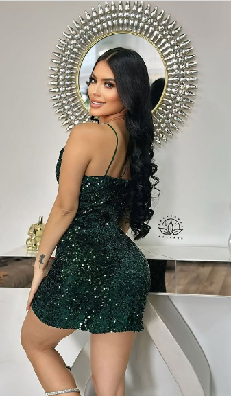 Shiny V-neck Sequined Hip-hugging 19th Birthday Homecoming Dress