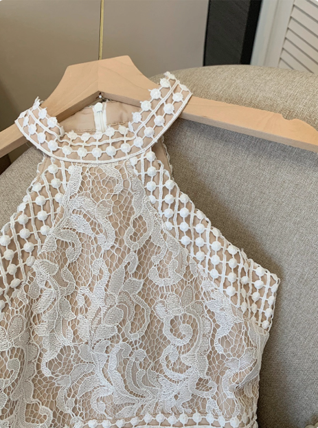 Elegant Sleeveless Halter Neck Lace Waist Hip Birthday Dress Homecoming Dress