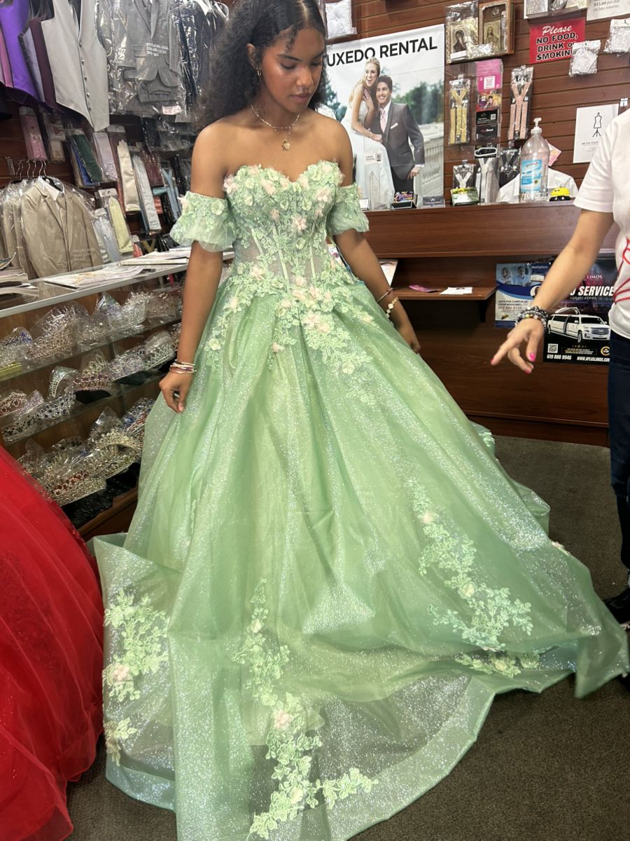 Princess Green One-Shoulder 3D Floral Tulle Ball Gown Evening Dress Sweet 16 Dress