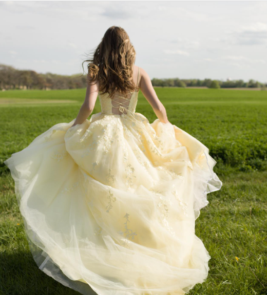 Sweet Yellow A-line Tube Top Embroidered Tulle Long Prom Dress Evening Dress
