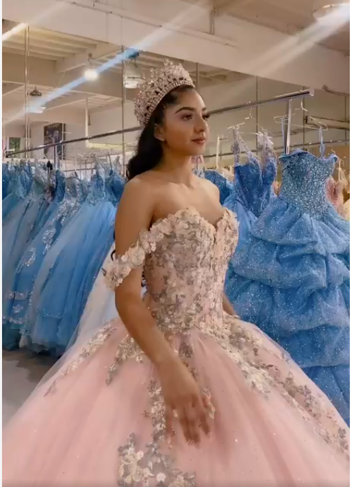 Beautiful with Floral Ball Gown Pink Sweet 16 Dress Princess Tulle Dress