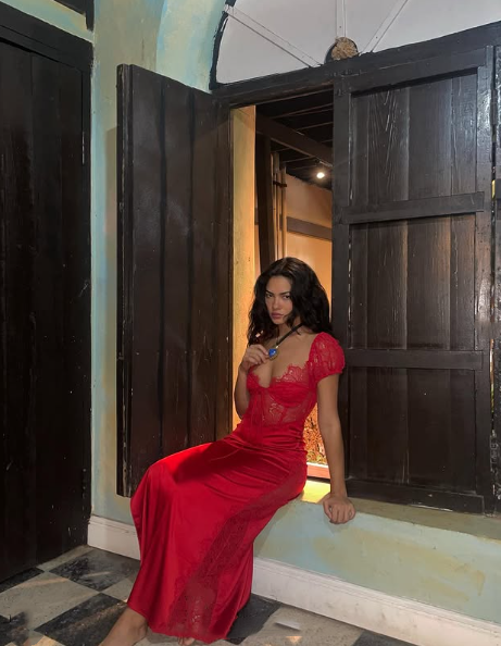 Sexy Mermaid V Neckline Red Lace Long Evening Dress Prom Dresses