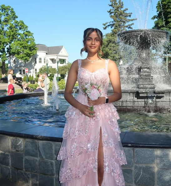 Pretty A-Line Straps Blush Pink Lace Long Prom Dresses Formal Evening Dress