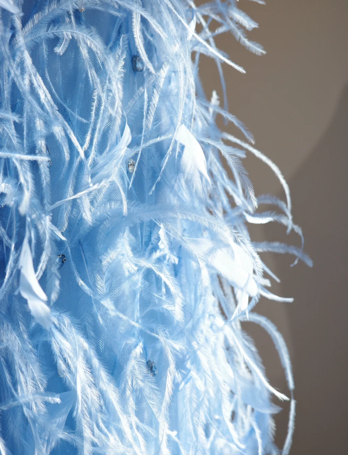 Fairy Spaghetti Straps Blue Satin Beaded Feathers A Line Birthday Prom Dress Party Dress