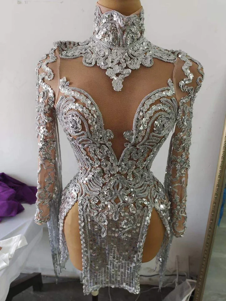 Shining Silver Sequins Fringes Dress Costume Sexy Party Dress
