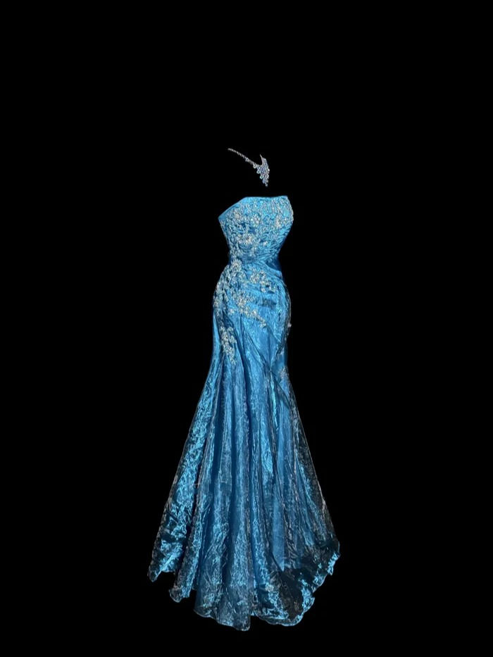 Charming Strapless Blue Tulle Sequin Beaded Mermaid Evening Dress Long Birthday Party Dress