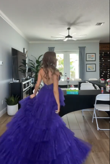 V Neck Purple Tiered Tulle Graduation Dress Evening Dress Prom Party Dress