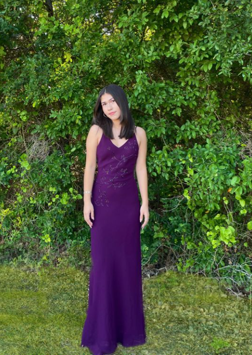 Spaghetti Straps V Neck Sheath Evening Dress Purple Party Dress