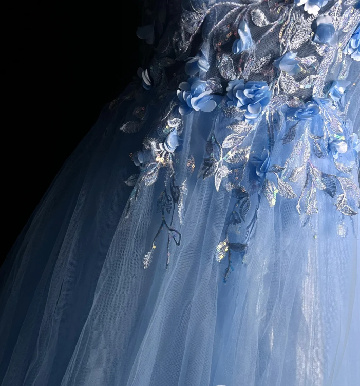 Pretty One Shoulder Blue Tulle Appliques Long Party Dress Formal Evening Dresses