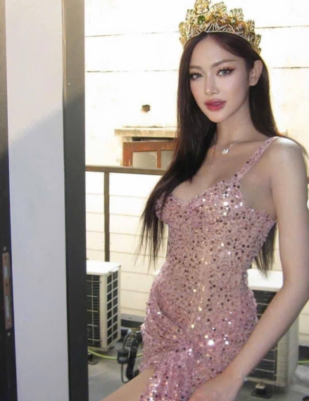 Sparkly Tulle Sequin Sheath Cocktail Dress Pink Short Homecoming Dress Birthday Outfits Dress