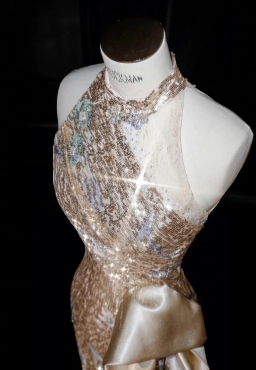 Champagne Sequin Prom Party Dress Shiny Evening Dress Birthday Outfit