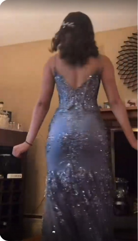 Sexy Spaghetti Straps Prom Dress Mermaid Evening Dress
