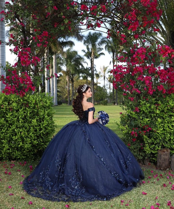 Navy Blue quinceañera dress Sweet 15 16 Prom Party Ball Gowns