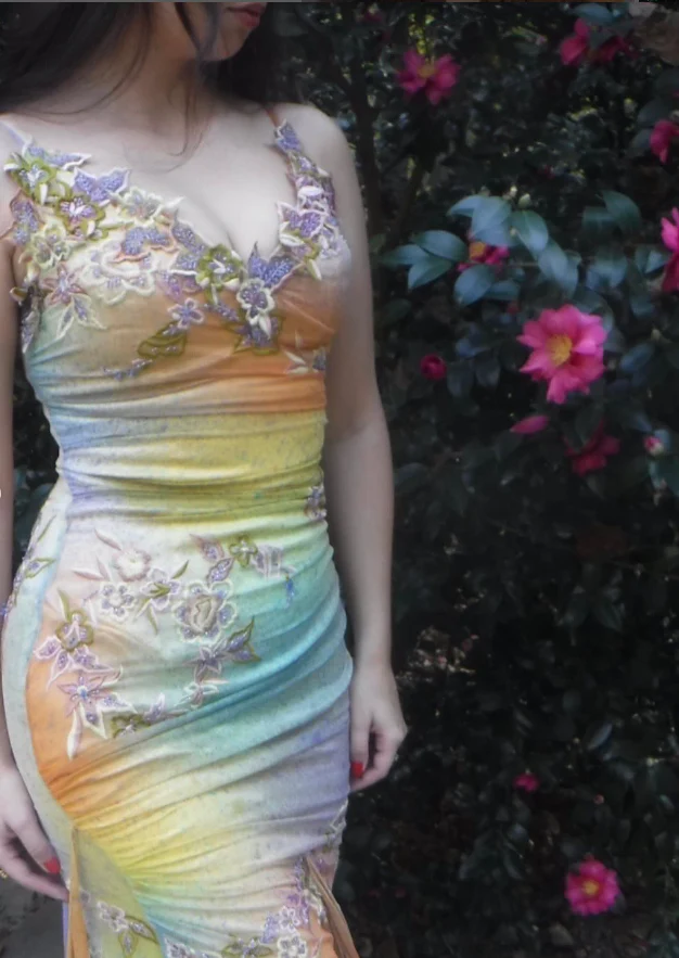 Pretty Vintage Mermaid V Neck Appliques Chiffon Prom Dresses Evening Dresses