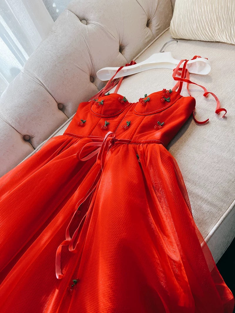 Modest A Line Spaghetti Straps Tulle Red Homecoming Dresses Birthday Outfits