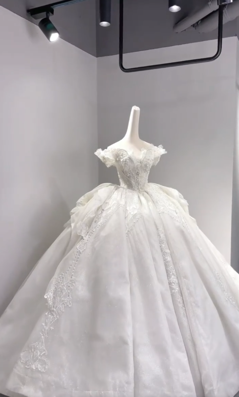 Timeless Ball Gown Off The Shoulder Tulle Lace Beaded Long Wedding Dresses
