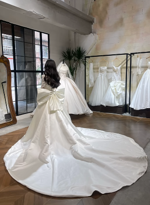 Elegant Ball Gown V Neck Satin Lace Long Sleeves With Veil Long Wedding Dresses