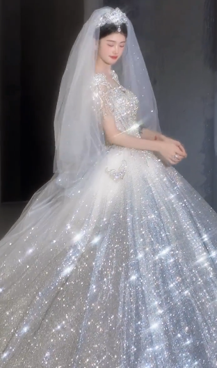 Shiny Ball Gown Tulle Sequin Beaded Short Sleeves With Veil Long Wedding Dresses