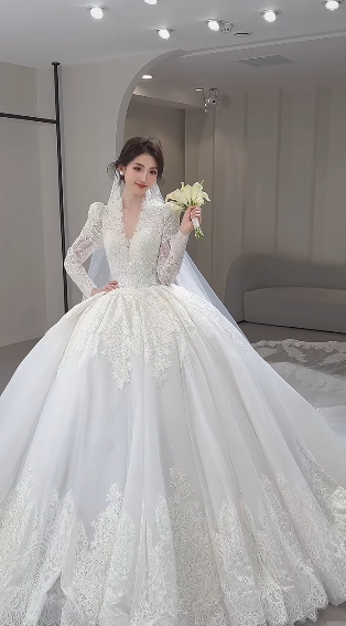 Timeless Ball Gown V Neck Tulle Lace Long Sleeves With Train Long Wedding Dresses
