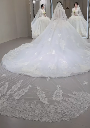 Timeless Ball Gown V Neck Tulle Lace Long Sleeves With Train Long Wedding Dresses