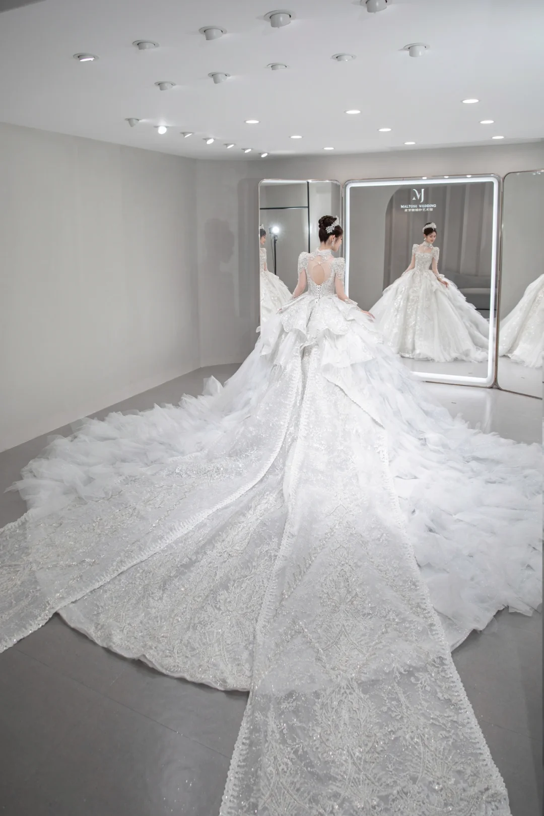 Gorgeous Ball Gown Tulle Sequin Long Sleeves Long Wedding Dresses